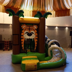 Multifun Springkussen Tijgertje inclusief 4 uur begeleiding