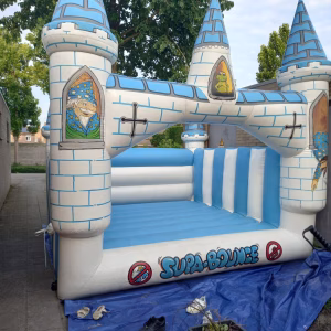 Springkussen kasteel inclusief 4 uur begeleiding