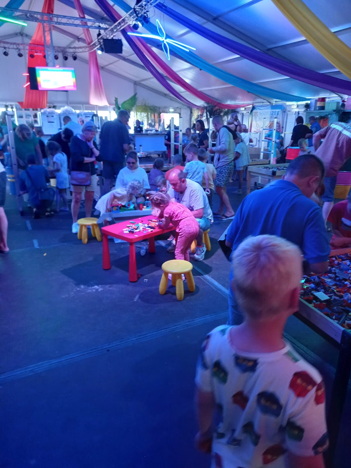Bricks basis (Lego) bouwactie met 2 personen begeleiding 3 uur - Afbeelding 3