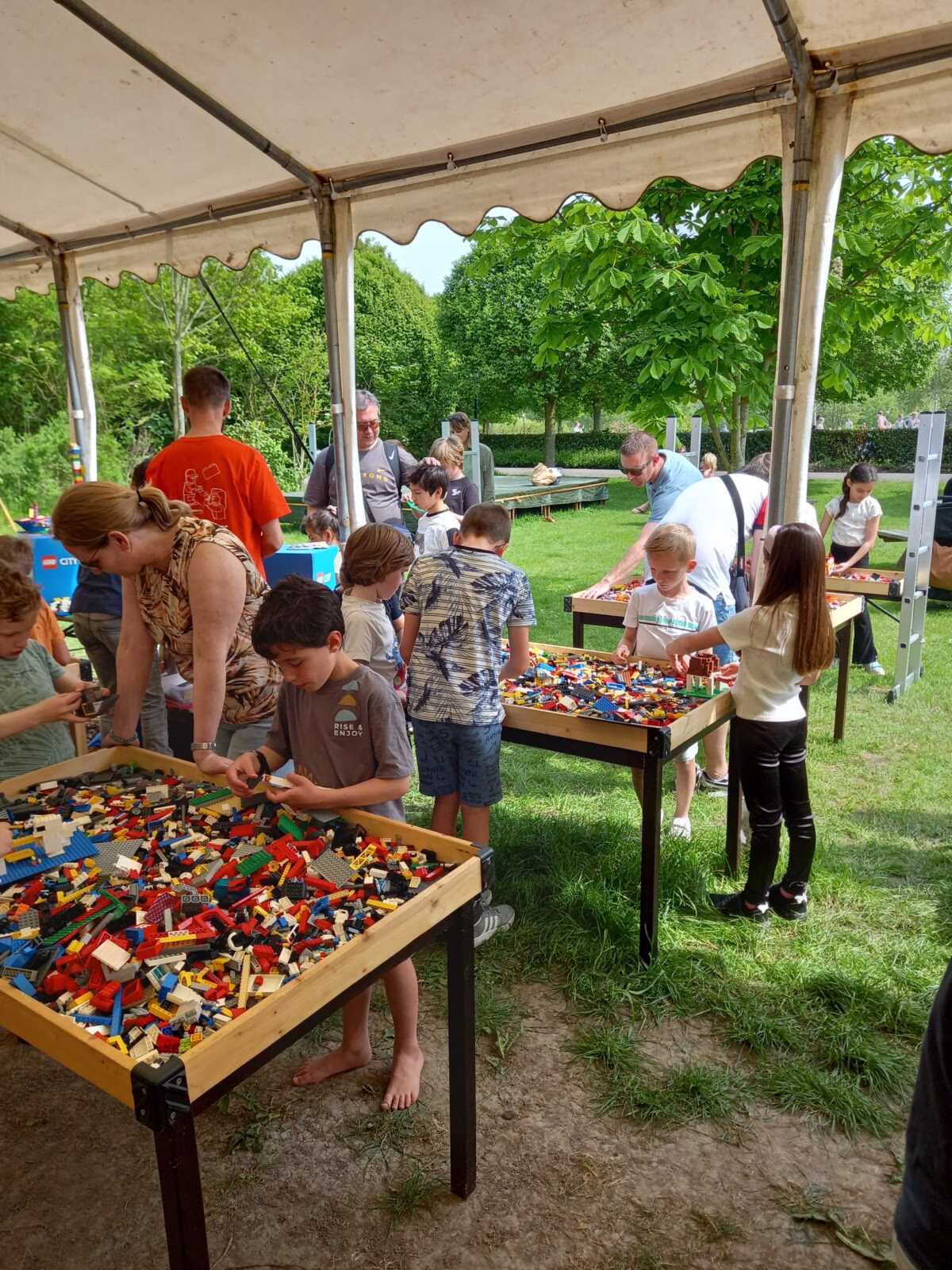 Bricks basis (Lego) bouwactie met 2 personen begeleiding 3 uur - Afbeelding 2